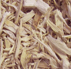 SIBERIAN GINSENG C/S